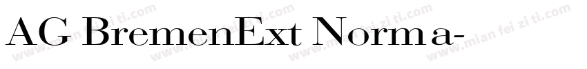 AG BremenExt Norma字体转换